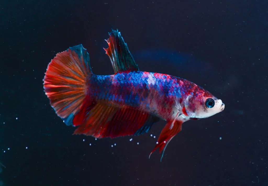 10 Small Pets Perfect for Beginners